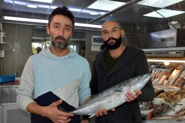 Torik ve tombik balığını palamut diye satıp vatandaşı kandırıyorlar