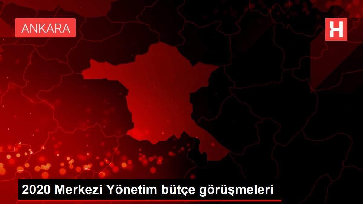 2020 Merkezi Yönetim bütçe görüşmeleri