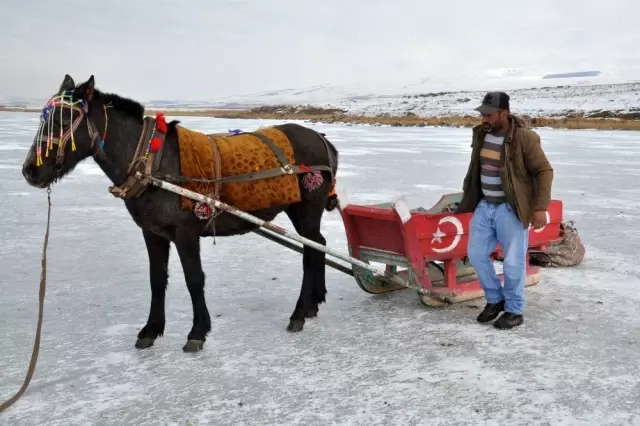 Atlı kızaklar Çıldır Gölü'ne indi Atlı kızaklar Çıldır Gölü'ne indi