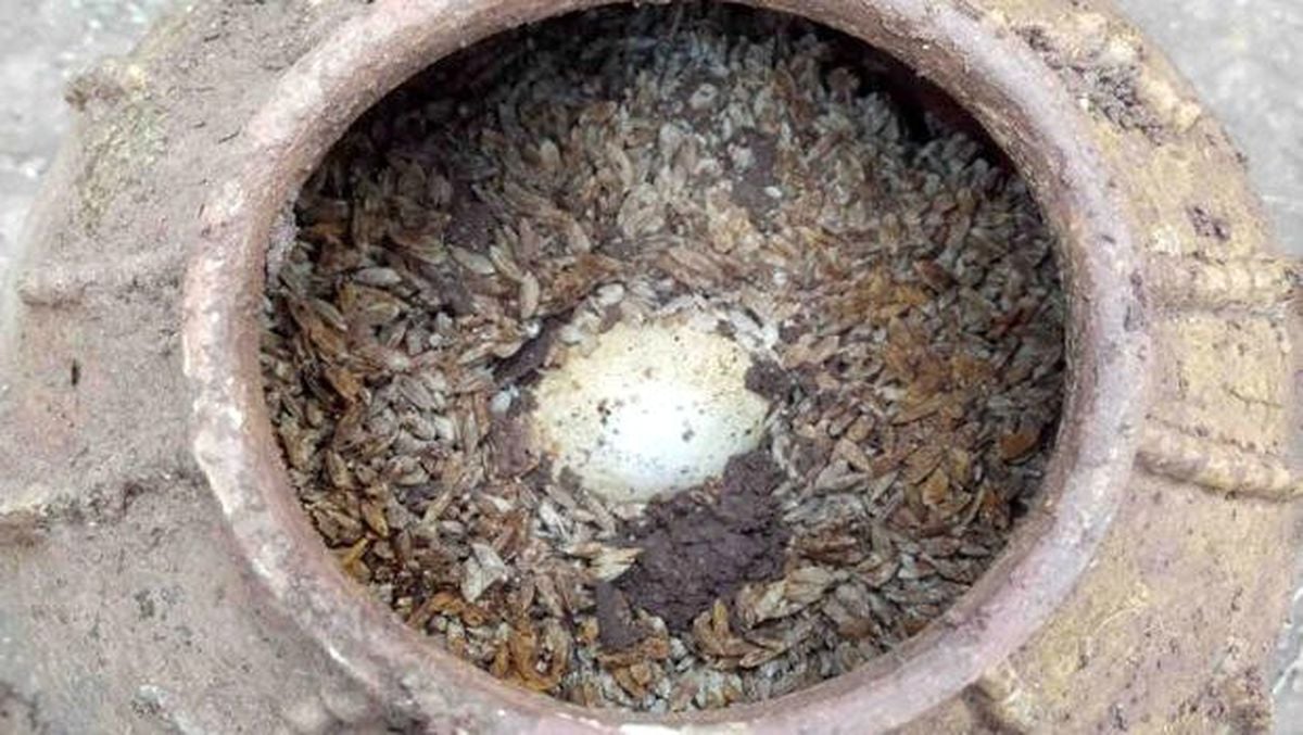 Çin'de pirinç dolu bir küpün içine gömülmüş en az 500 yıllık olduğu tahmin edilen yumurtalar bulundu