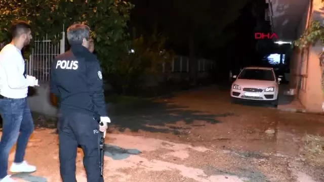 Adana'da şehir merkezine inen yaban domuzu, paniğe neden oldu