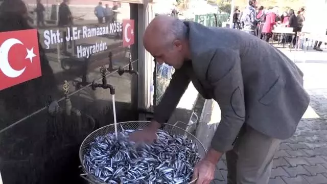 Artvin'deki şenlikte yarım ton hamsi tüketildi Artvin'deki şenlikte yarım ton hamsi tüketildi