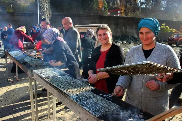 Artvin'deki şenlikte yarım ton hamsi tüketildi Artvin'deki şenlikte yarım ton hamsi tüketildi