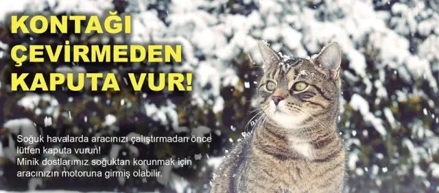 Bayburt'ta soğuk hava