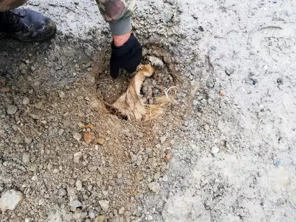 Bitlis'te köy yoluna tuzaklanan patlayıcı imha edildi
