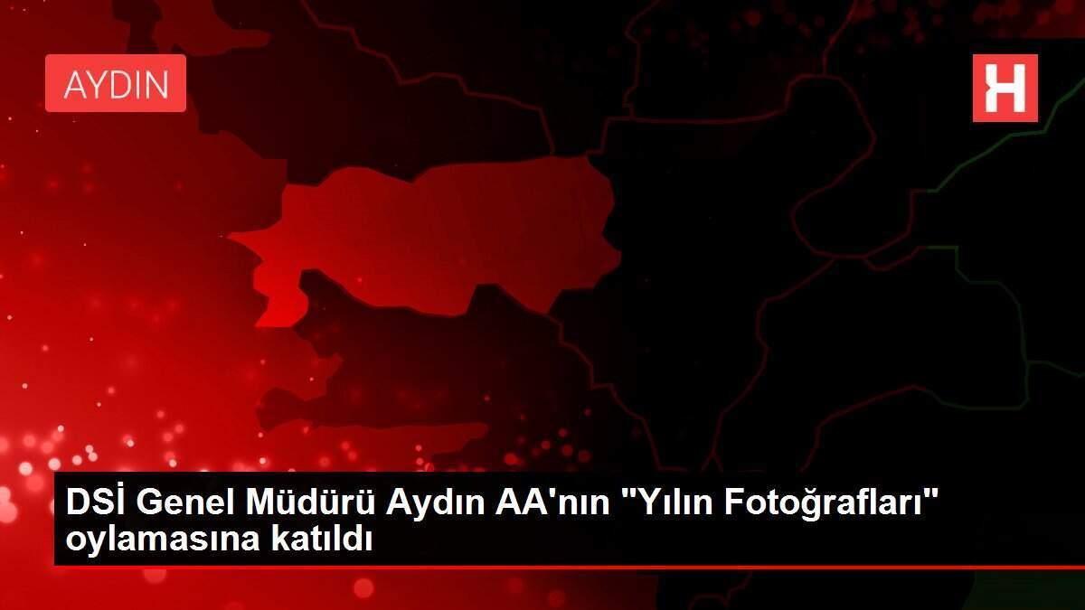 DSİ Genel Müdürü Aydın AA'nın