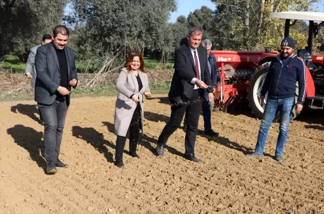 Karakılçık tohumu Tire'de toprakla buluştu