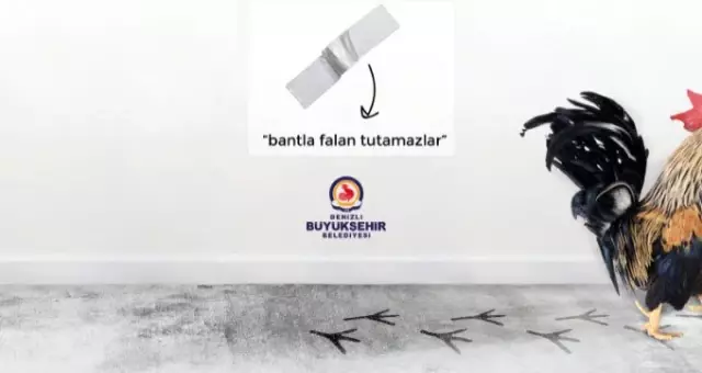 120 bin dolarlık muza 'Horozlu' gönderme 120 bin dolarlık muza 'Horozlu' gönderme