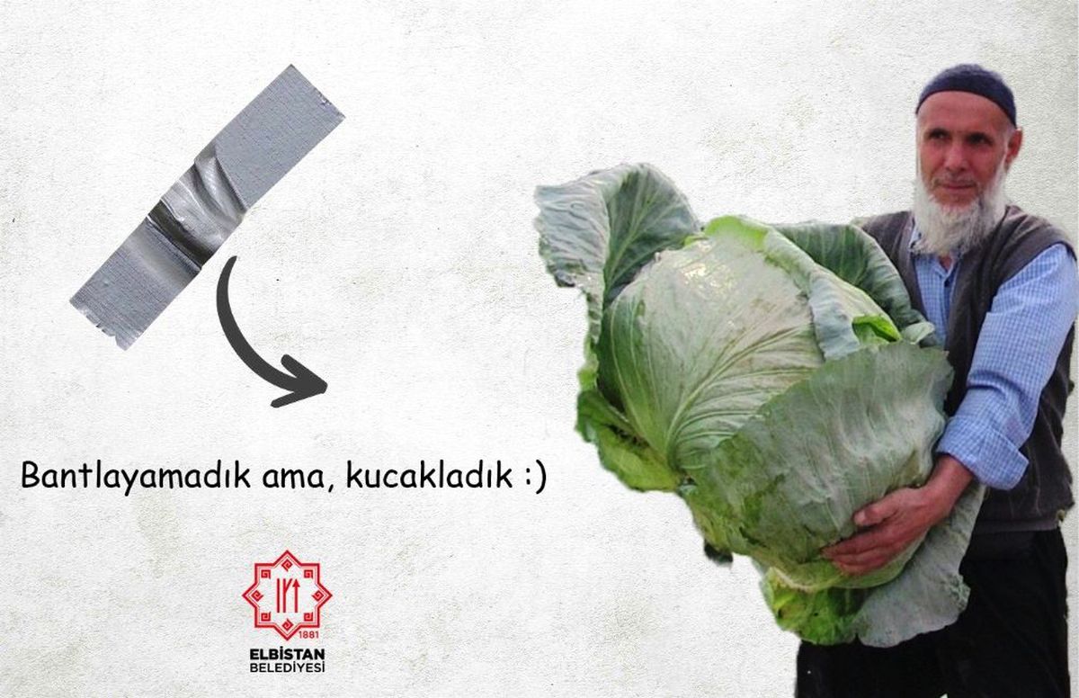 120 bin dolarlık muza 'lahanalı' gönderme