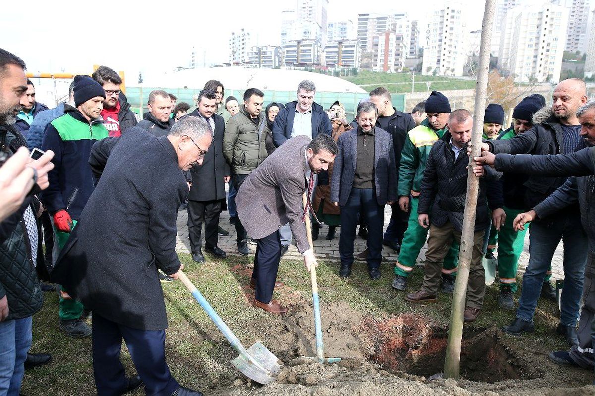 60'ıncı yıla 600 ağaç