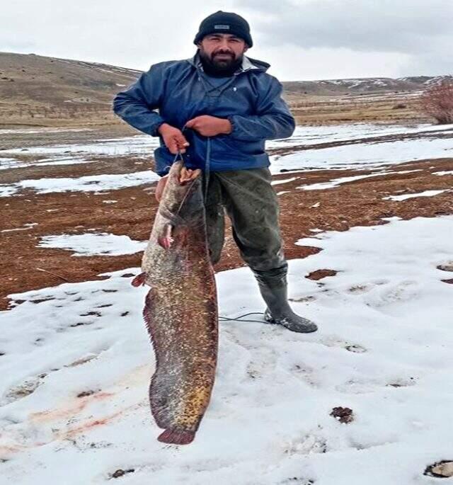 Dev balığı böyle taşıdı