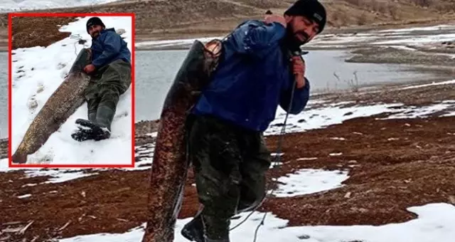 Görenler hayretler içinde kaldı! Boyundan büyük balığı taşımakta zorlandı