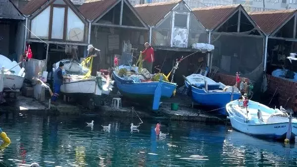 Hamsi avcılığı sınırlansın talebi