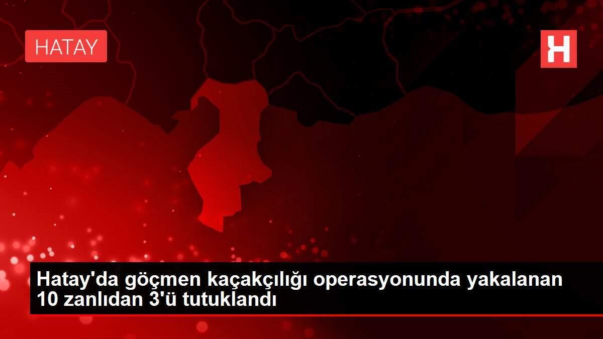 Altinozu Haber Altinozu Son Dakika Haberleri Haberler