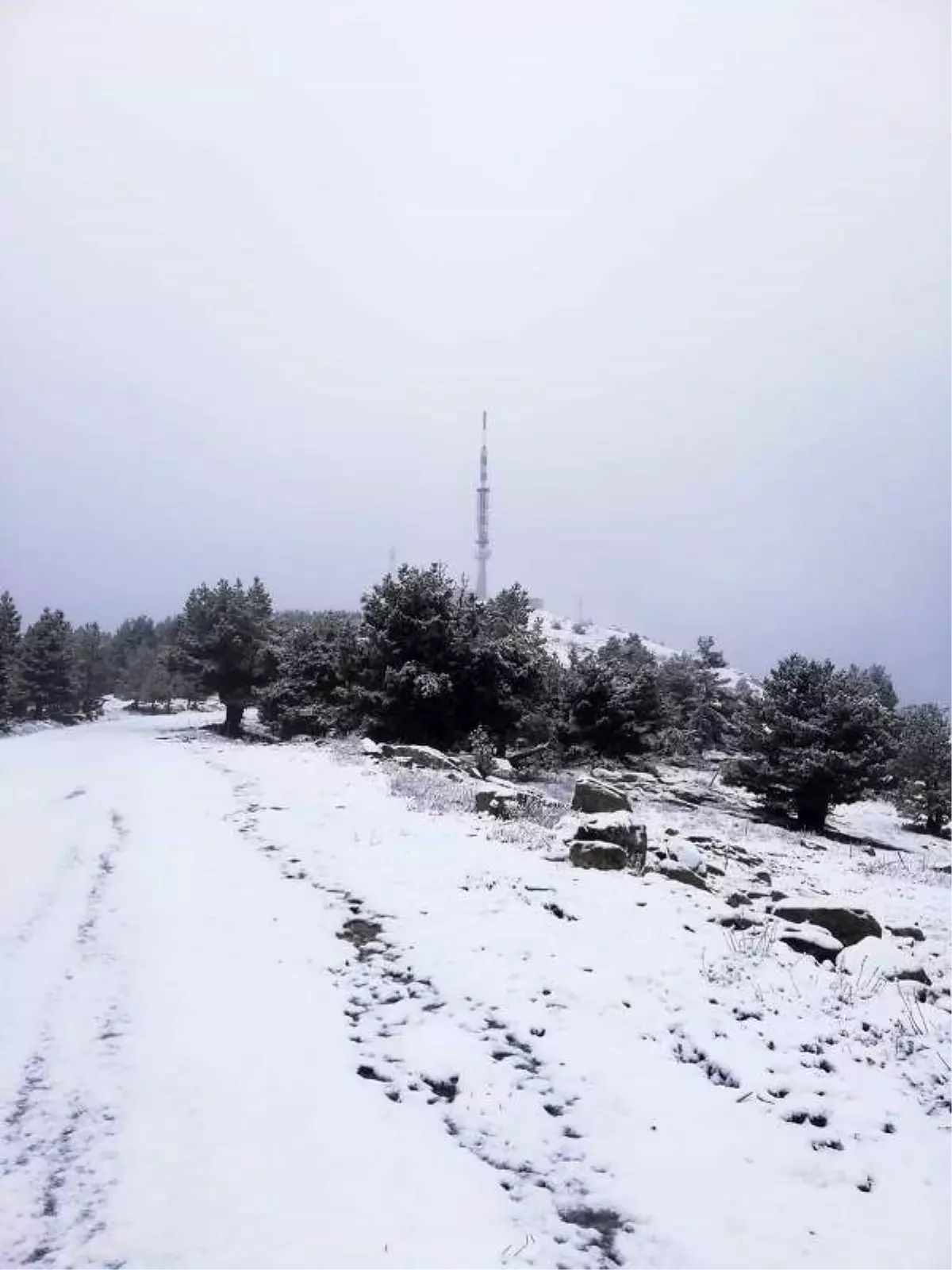 Muğla'ya mevsimin ilk karı