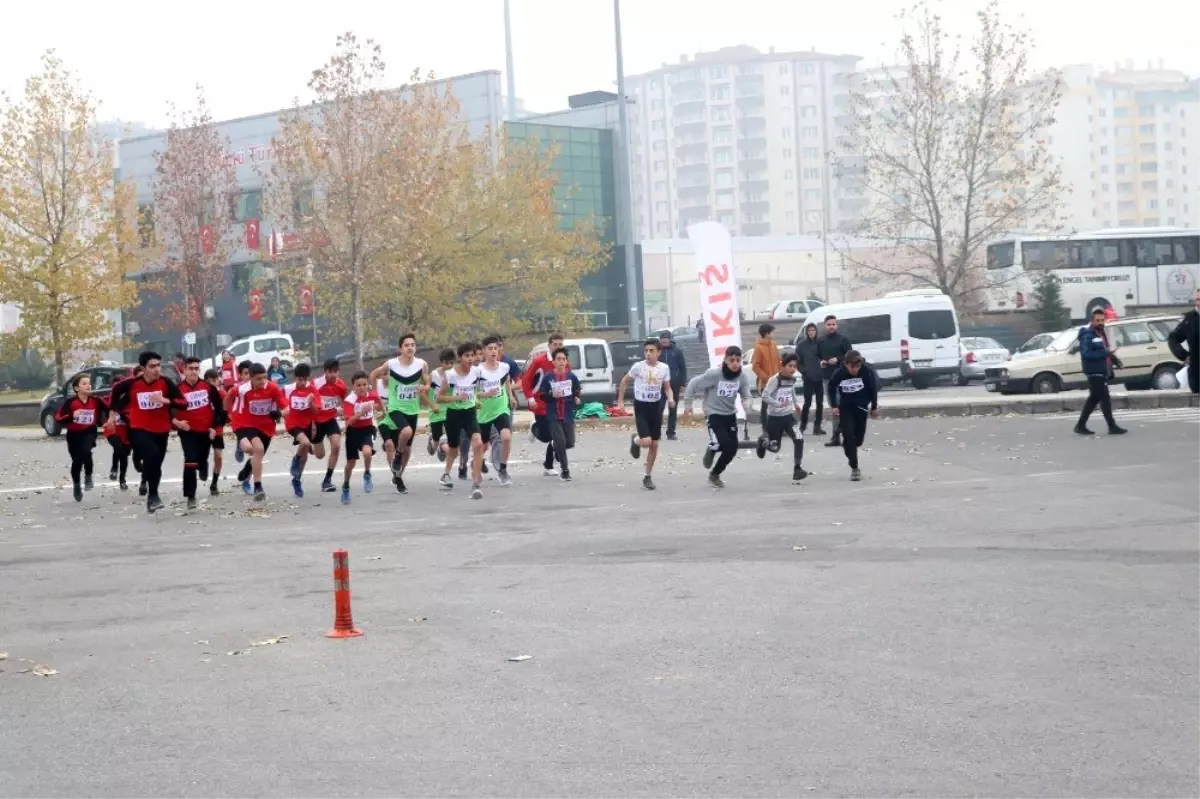 Okullar arası Yıldız Genç Kros İl Birinciliği tamamlandı