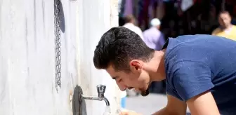 Ruyada Hali Gormek Konforlu Bir Hayat Yasayacaksiniz Ruyada Gormek Tabiri Nedir