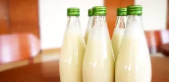 Ruya Tabiri Ruyada Kus Gormek Ne Anlama Gelir Ruyada Muhabbet Kusu Ruyada Guvercin Gormek Ruya Tabiri Nedir Ruyada Civciv Gormek Haberler