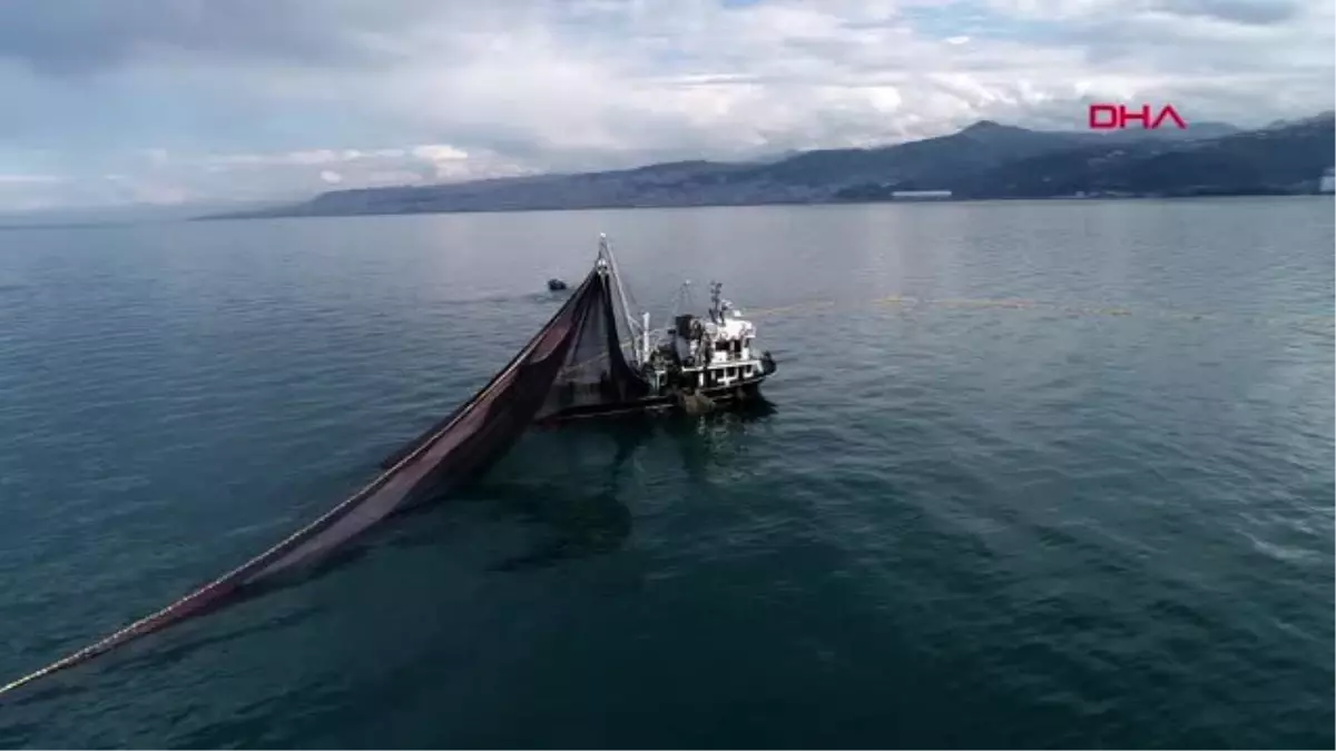 Trabzon hamsi avcılığı sınırlansın talebi