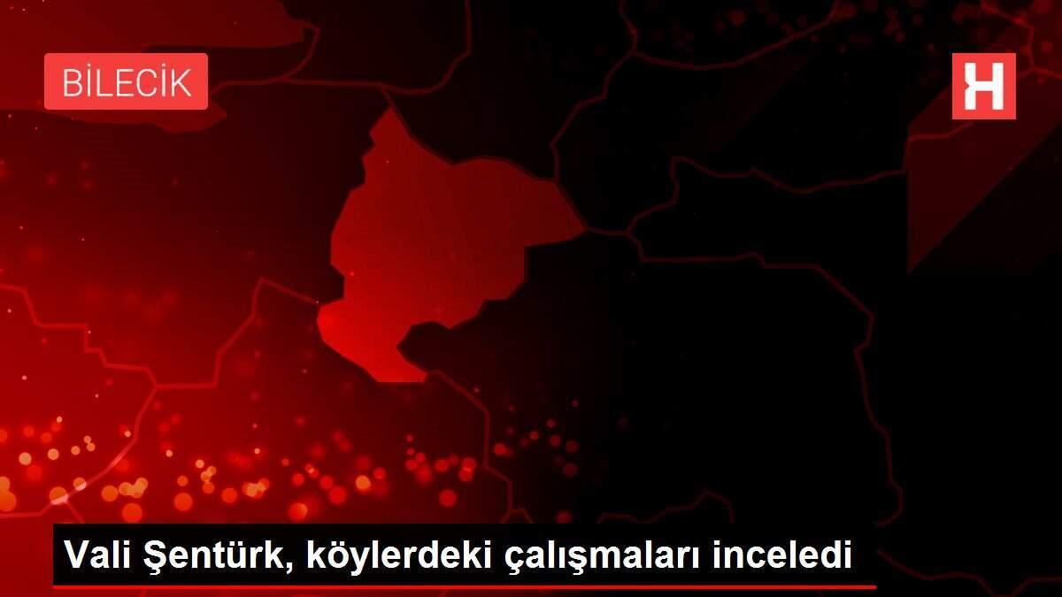 Vali Şentürk, köylerdeki çalışmaları inceledi