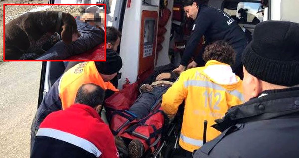 Dağda kalp krizi geçiren avcı hayatını kaybetti, köpeği yanından ayrılmadı