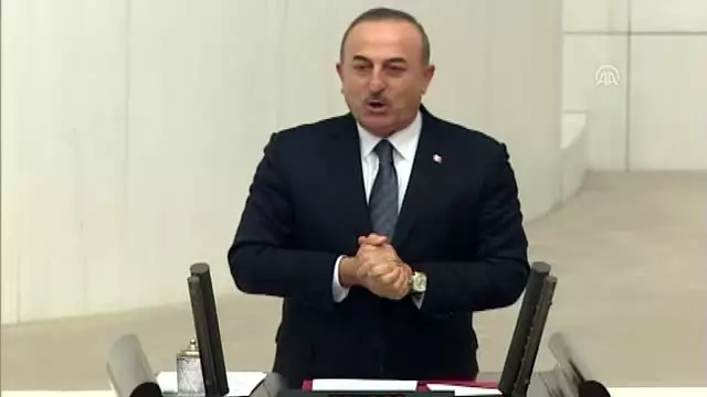 Dışişleri Bakanı Çavuşoğlu: