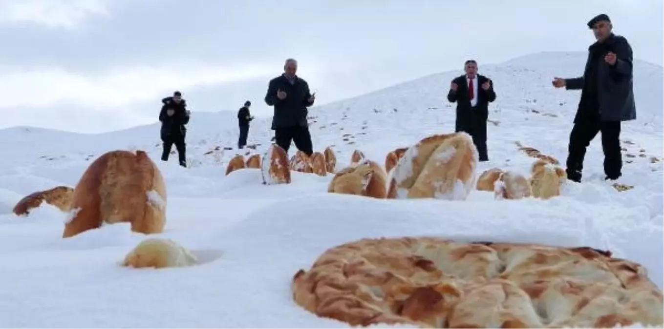 Doğaya 1001 ekmek bıraktı