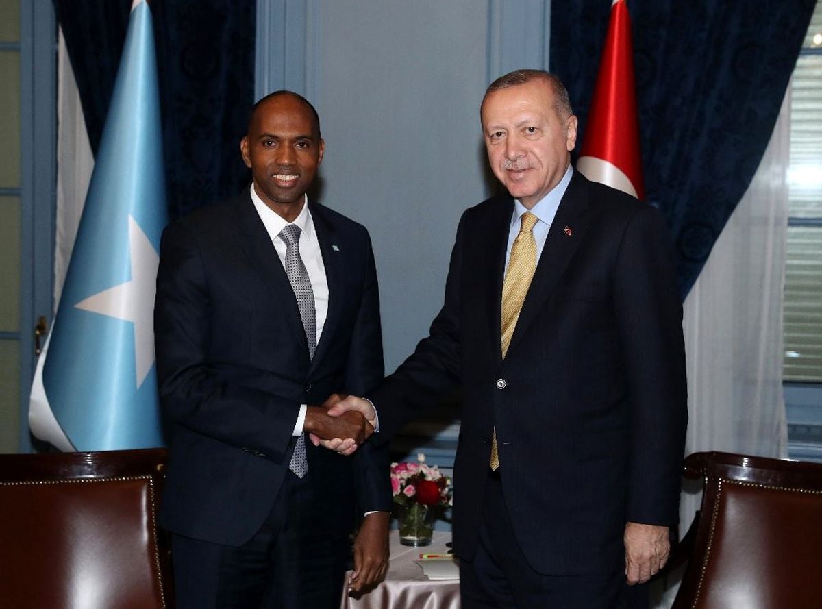 Cumhurbaşkanı Erdoğan, Somali Başbakanı Hayri'yi kabul etti