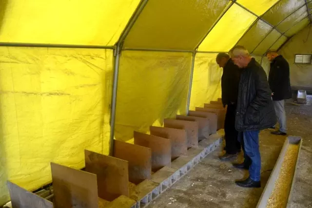 Ek iş olarak kaz çiftliği kurdu! Şimdi yumurtadan sezonluk 100 bin lira kazanacak