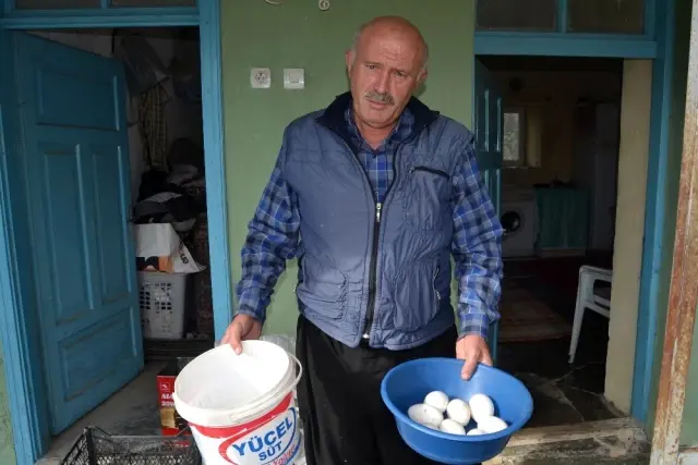 Ek iş olarak kaz çiftliği kurdu! Şimdi yumurtadan sezonluk 100 bin lira kazanacak