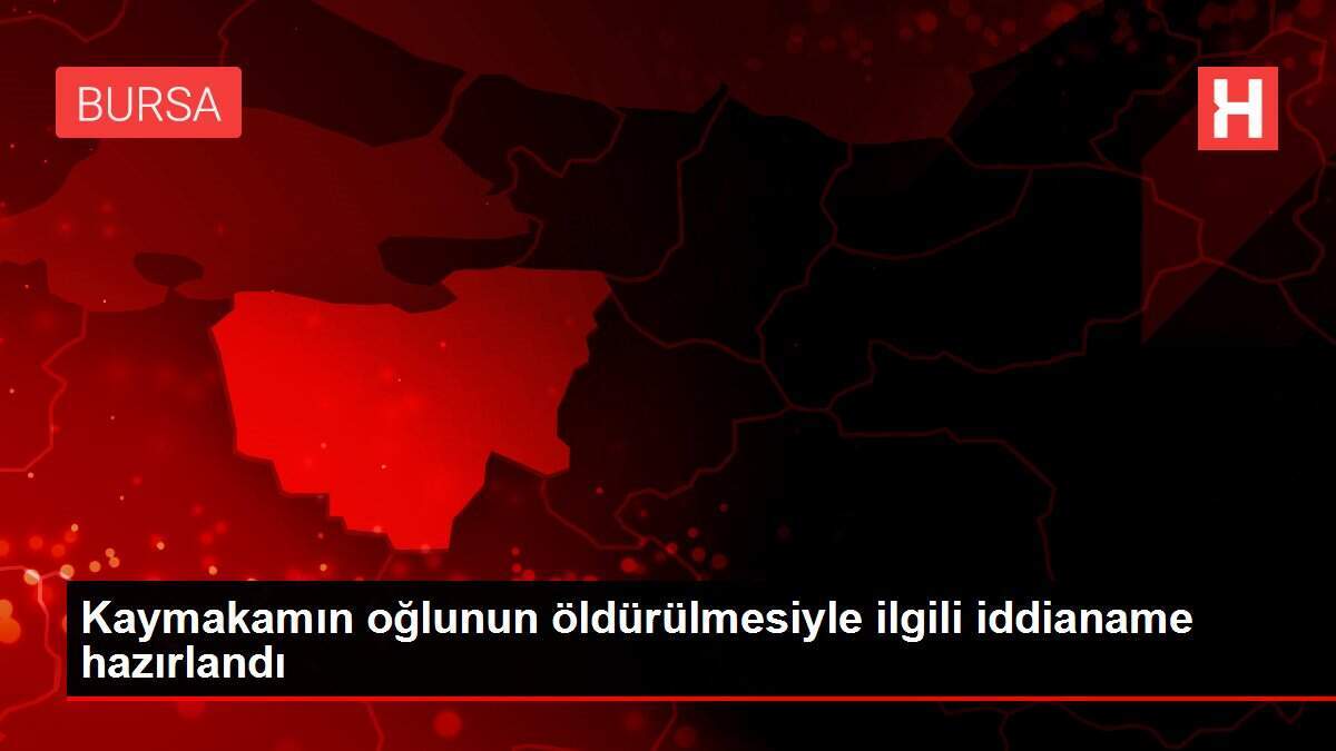 Kaymakamın oğlunun öldürülmesiyle ilgili iddianame hazırlandı
