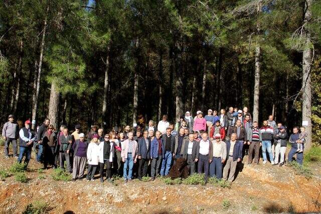 Muğla'da planlı ağaç kesimine tepki