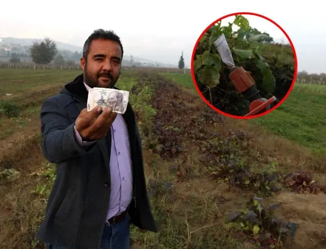 Tarladan ürün aldı, parasını sulama borusuna sıkıştırıp gitti