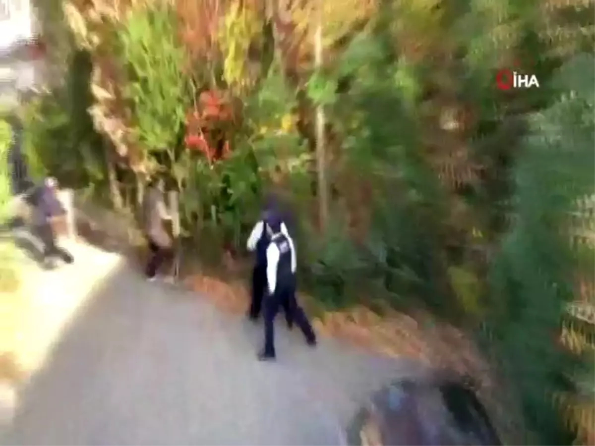 Tokyo'da yaban domuzu paniği