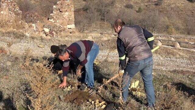 Lavanta balı yeni gelir kapısı oldu! Kilosu 150 liradan satılıyor