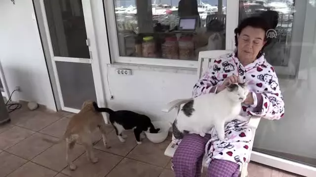 Oyuncu Fatma Girik: 'Sağlığıma kavuşsam 'hanım ağa' rolünde oynayabilirim' Oyuncu Fatma Girik: 'Sağlığıma kavuşsam 'hanım ağa' rolünde oynayabilirim'