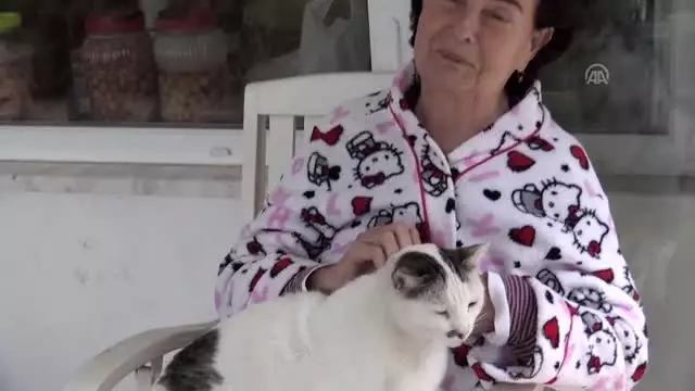 Oyuncu Fatma Girik: 'Sağlığıma kavuşsam 'hanım ağa' rolünde oynayabilirim' Oyuncu Fatma Girik: 'Sağlığıma kavuşsam 'hanım ağa' rolünde oynayabilirim'