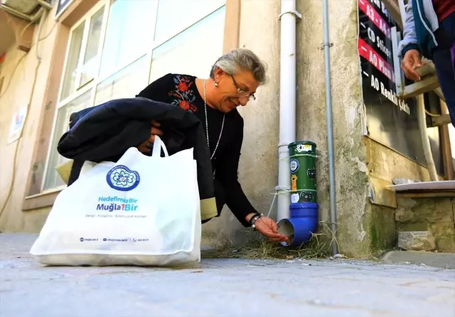 Atık su borularından sokak hayvanları için mama kabı