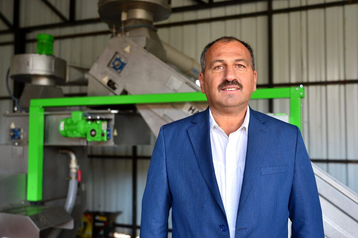 Gökçeada'nın Karadenizlileri güçlerini birleştirip zeytinyağı fabrikası kurdu