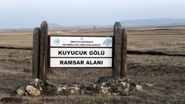 Kuyucuk Gölü Kuş Cenneti kurudu Kuyucuk Gölü Kuş Cenneti kurudu