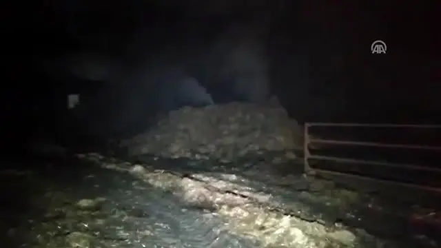 Bafra'da çıkan yangında 25 bin balya saman kül oldu Bafra'da çıkan yangında 25 bin balya saman kül oldu