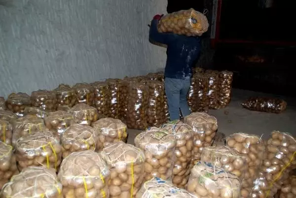 Bakanlıktan patates tüketimine teşvik Bakanlıktan patates tüketimine teşvik