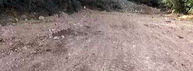 Büyükada'da 81 atın itlaf edildiği çukurlar ilk kez bu kadar yakından görüntülendi