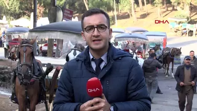 Büyükada'daki faytonculardan ruam hastalığı yorumu Büyükada'daki faytonculardan ruam hastalığı yorumu