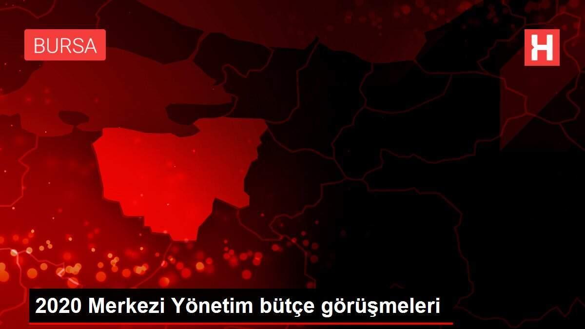 2020 Merkezi Yönetim bütçe görüşmeleri 2020 Merkezi Yönetim bütçe görüşmeleri