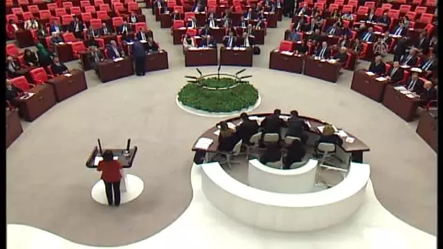 2020 Yılı Bütçesi görüşmeleri - HDP Grup Başkanvekili Kurtulan 2020 Yılı Bütçesi görüşmeleri - HDP Grup Başkanvekili Kurtulan
