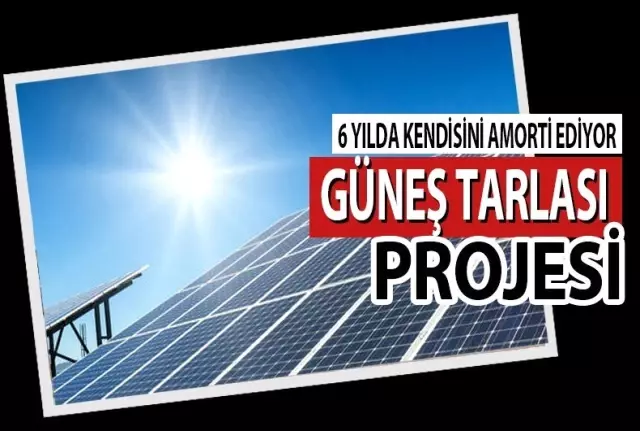 Bafra'ya Güneş Tarlası Bafra'ya Güneş Tarlası