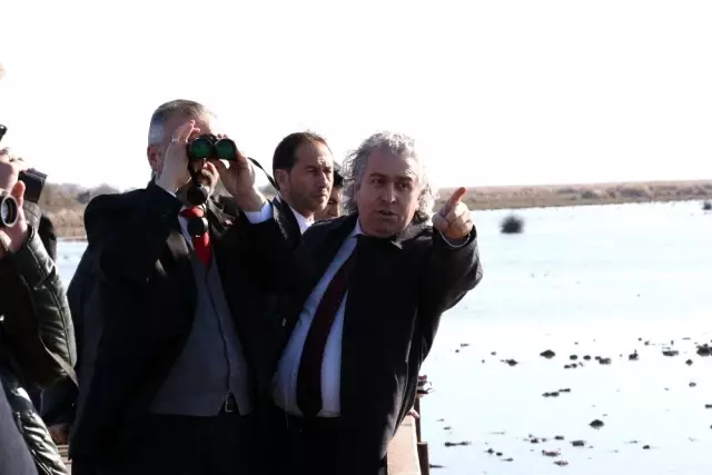 Bafra'ya Güneş Tarlası Bafra'ya Güneş Tarlası