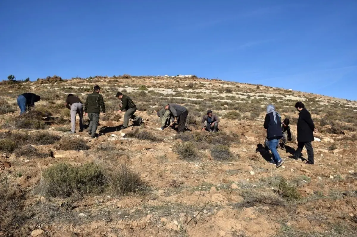 15 bin kekik toprakla buluştu