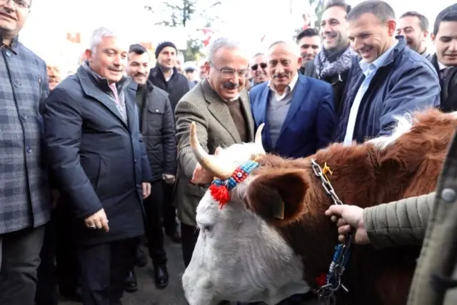 Ordu'da Hayvan Oteli Ordu'da Hayvan Oteli